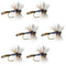 Adams Wulff Classic Dry Fly - 6 Flies - Hook Size 8