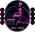 🦩 Midnight Flamingo Edition
