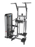 Elite Plus Assisted Chin Dip Machine | Muscle D Fitness