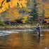 Barbless Griffiths Gnat Midge Trout Dry Fly Fishing Flies - 6 Flies Size 18