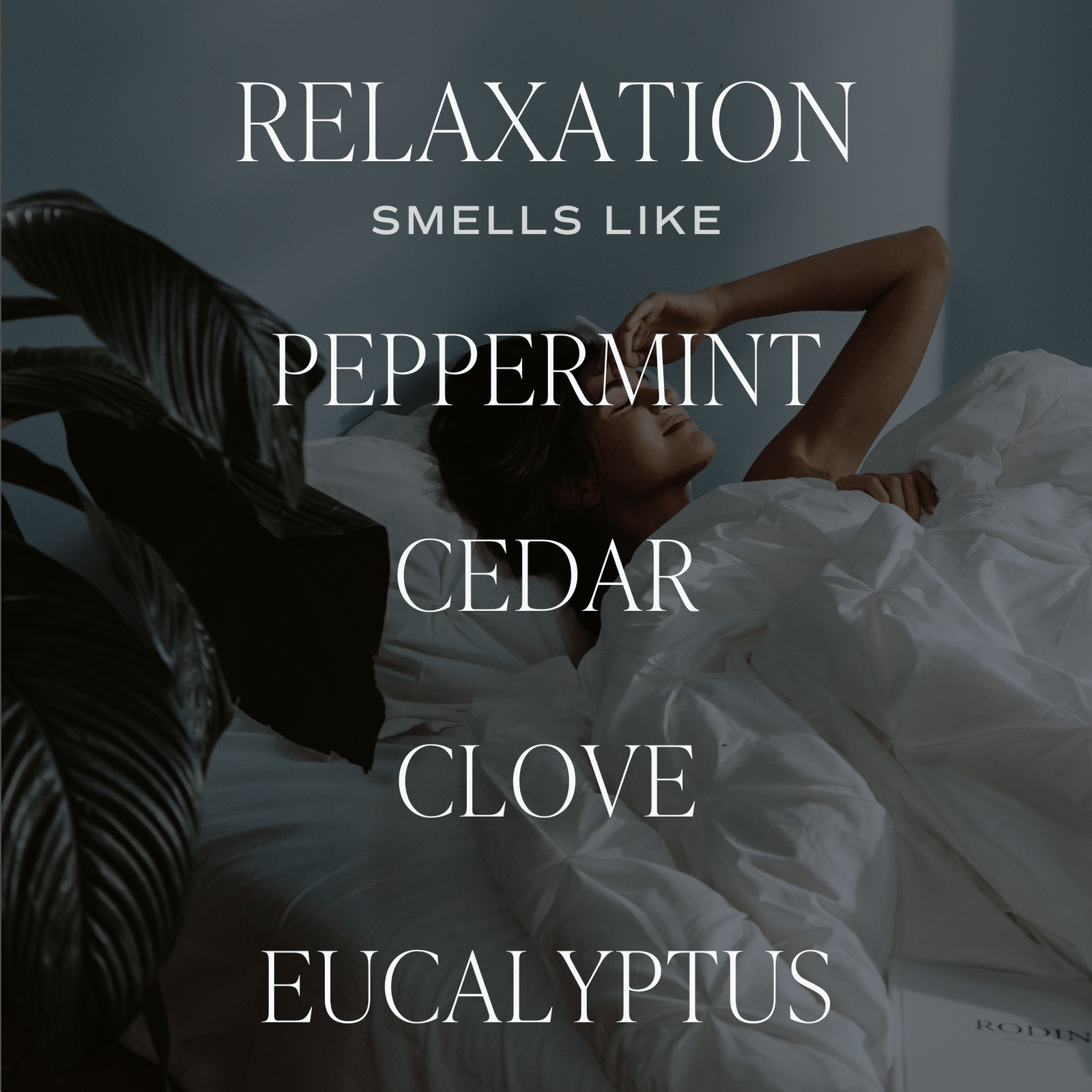 Relaxation Clear Reed Diffuser