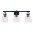 Brilliance Modern Farmhouse 3-Light Vanity Light
