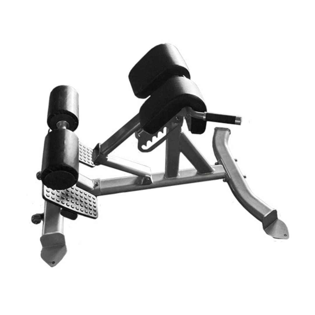 Back Extension Bench - Muscle D Fitness -  Premium Upholstery Lower Back, Roman Chair