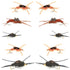 Basics Collection - Kaufmann's Stonefly Nymph Assortment - 10 Bead Head Rubber Legs Wet Flies - 5 Patterns - Hook Sizes 4, 6, 8, 10, and 12
