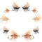 Basics Collection - Elk Hair Caddis Dry Fly Assortment - 10 Dry Fishing Flies - 5 Patterns - Hook Sizes 12, 14, 16, 18