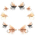 Basics Collection - Elk Hair Caddis Dry Fly Assortment - 10 Dry Fishing Flies - 5 Patterns - Hook Sizes 12, 14, 16, 18