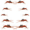 Basics Collection - Kaufmann's Brown Stonefly Nymph Assortment 10 Bead Head Rubber Legs Wet Flies - Hook Sizes 6, 8, 10, and 12