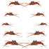 Basics Collection - Kaufmann's Brown Stonefly Nymph Assortment 10 Bead Head Rubber Legs Wet Flies - Hook Sizes 6, 8, 10, and 12
