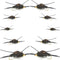 Basics Collection - Kaufmann's Black Stonefly Nymph Assortment - 10 Bead Head Rubber Legs Wet Flies - 2 Each Hook Sizes 4, 6, 8, 10, and 12