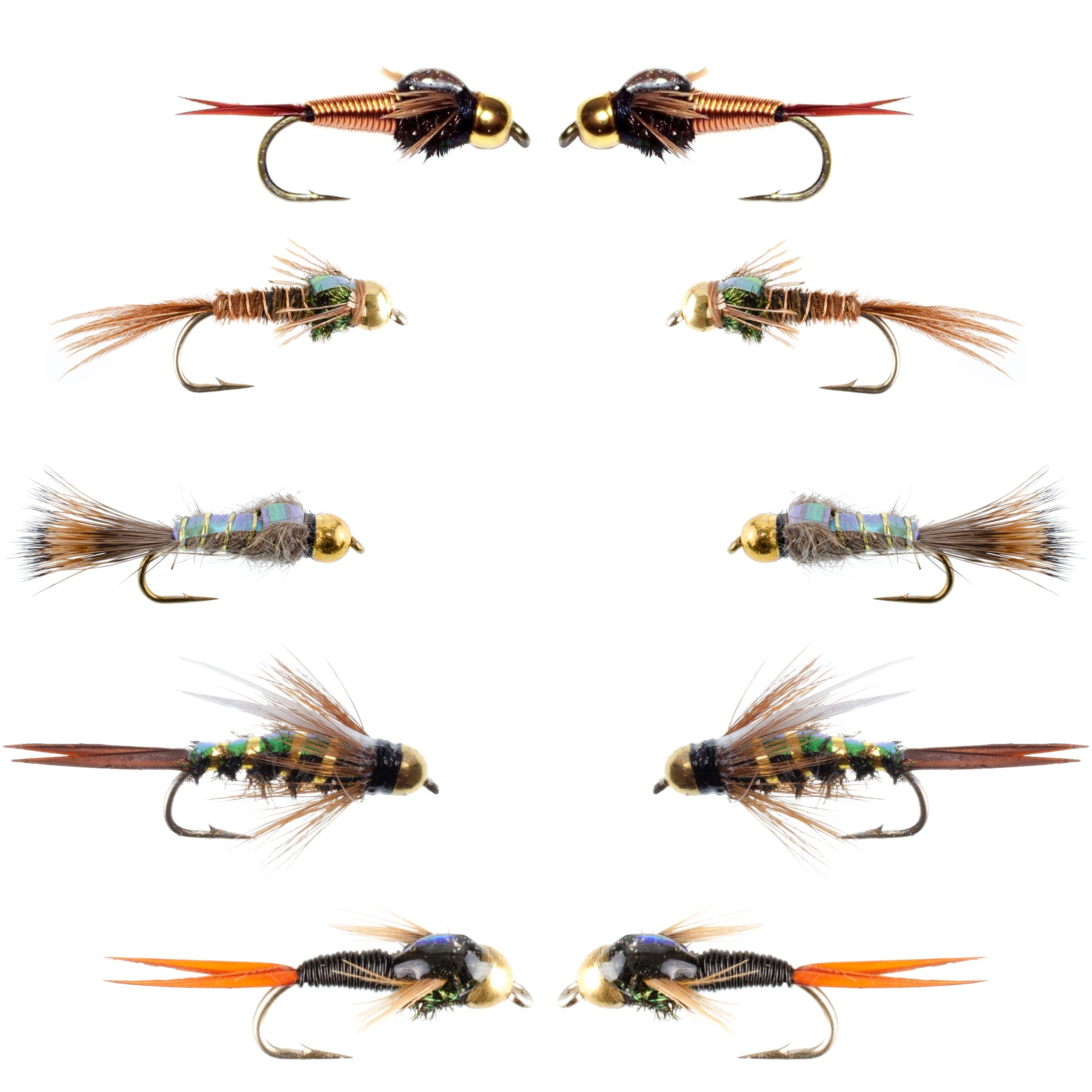 Basics Collection - Flash Back Tungsten Bead Head Nymph Assortment - 10 Wet Flies - 5 Patterns - Hook Sizes 10, 12, 14, 16