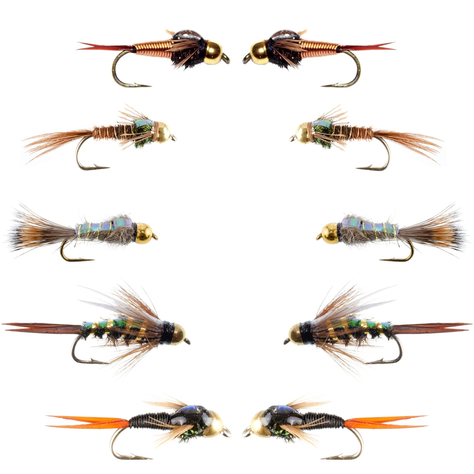 Basics Collection - Flash Back Tungsten Bead Head Nymph Assortment - 10 Wet Flies - 5 Patterns - Hook Sizes 10, 12, 14, 16