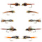 Basics Collection - Flash Back Tungsten Bead Head Nymph Assortment - 10 Wet Flies - 5 Patterns - Hook Sizes 10, 12, 14, 16