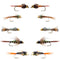 Basics Collection - Copper John and Flash Back Bead Head Nymph Assortment - 10 Wet Flies - 5 Patterns - Hook Sizes 10, 12, 14, 16