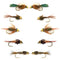 Basics Collection - Bead Head Nymph Assortment - 10 Wet Flies - 5 Patterns - Hook Sizes 12, 14, 16