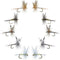 Basics Collection - Classic Dry Fly Assortment - 10 Dry Fishing Flies - 5 Patterns - Hook Sizes 12, 14, 16