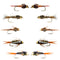 Basics Collection - Copper John and Bead Head Nymph Assortment - 10 Wet Flies - 5 Patterns - Hook Sizes 10, 12, 14, 16
