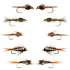 Basics Collection - Copper John and Bead Head Nymph Assortment - 10 Wet Flies - 5 Patterns - Hook Sizes 10, 12, 14, 16