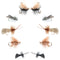 Basics Collection - Essential Caddis Dry Fly Assortment - 10 Dry Fishing Flies - 5 Patterns - Hook Sizes 12, 14, 16, 18