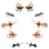 Basics Collection - Essential Caddis Dry Fly Assortment - 10 Dry Fishing Flies - 5 Patterns - Hook Sizes 12, 14, 16, 18