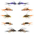 Basics Collection - Double Bead Head Nymph Assortment - 10 Wet Flies - 5 Patterns - Hook Size 12