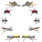 Basics Collection - Terrestrials Dry Fly Assortment - 10 Dry Fishing Flies - Hopper, Ant and Beetle Fishing Fly Patterns - Hook Sizes 10, 12 and 14