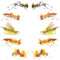 Basics Collection - Foam Hoppers Dry Fly Assortment - 10 Dry Fishing Grasshopper Flies - 5 Patterns - Hook Size 10
