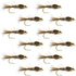 Tungsten Bead Head Gold Ribbed Hares Ear Nymph 1 Dozen Flies - Size 12