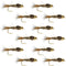 Bead Head Gold Ribbed Hares Ear Nymph 1 Dozen Flies - Size 12