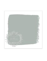 One Step Paint - 16oz