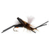 Basics Collection - Foam Hoppers Dry Fly Assortment #2 - 10 Dry Fishing Grasshopper Flies - 5 Patterns - Hook Size 10
