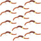 San Juan Bead Head Power Worm Brown V-Rib - 1 Dozen Hook Size 14