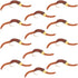 San Juan Bead Head Power Worm Brown V-Rib - 1 Dozen Hook Size 14