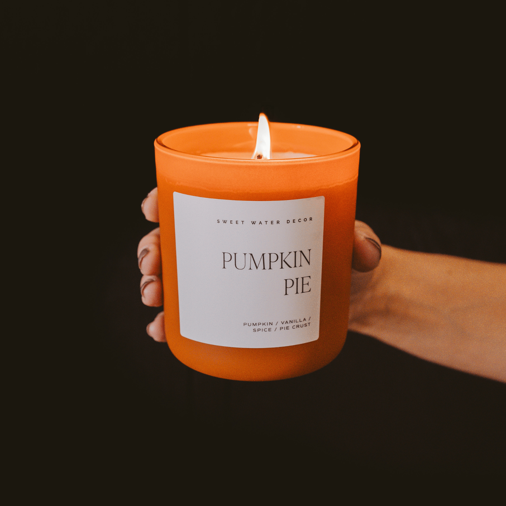 Pumpkin Pie Soy Candle - Orange Matte Jar - 15 oz (Hello Pumpkin)