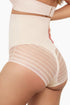 CURVEEZ High Waist Women's Briefs Flawless