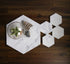Marble 4" Hexagon Coasters Semi-polished set of 4