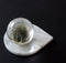Marble 4"x5" Teardrop Coasters Semi-polished set of 2