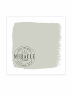 Miracle Paint (32 oz.)