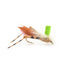 Trout Fly Assortment - Premium Terrestrial Flies - 12 Essential Hoppers, Ants and Beetles with Fly Box