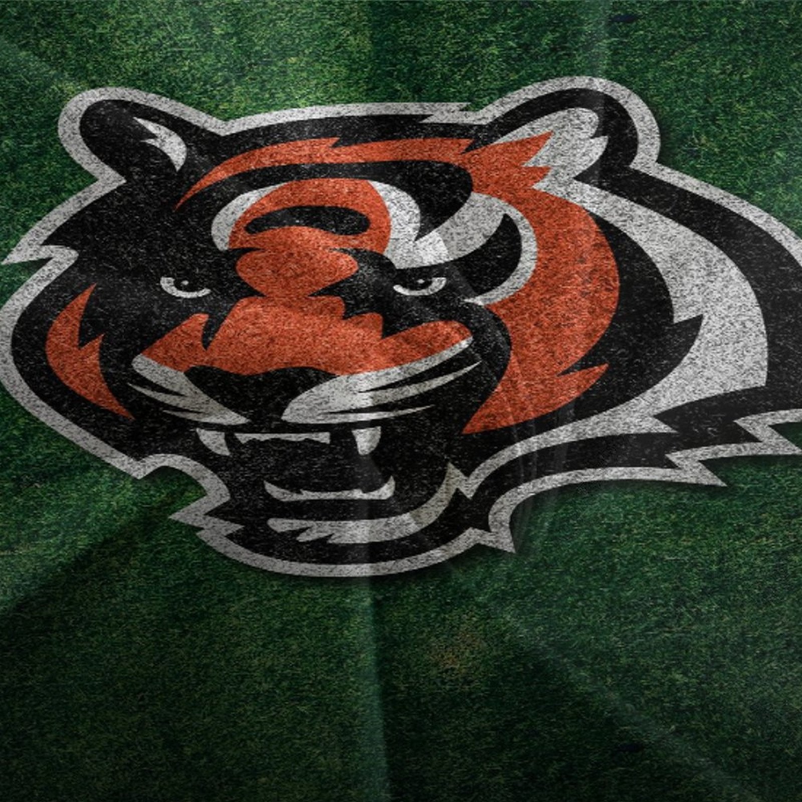 Cincinnati Bengals Bedding Set Duvet Cover Without Filler