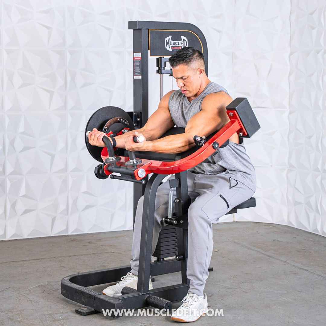 Classic V2 Selectorized Biceps/Triceps Combo – Commercial Gym Machine