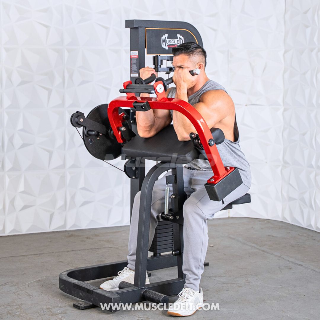 Classic V2 Selectorized Biceps/Triceps Combo – Commercial Gym Machine