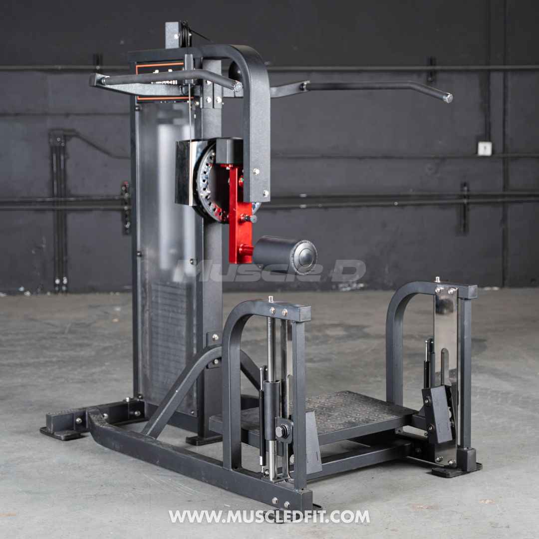 Classic V2 Selectorized Multi-Hip Machine | Hip & Glute Trainer by Muscle D