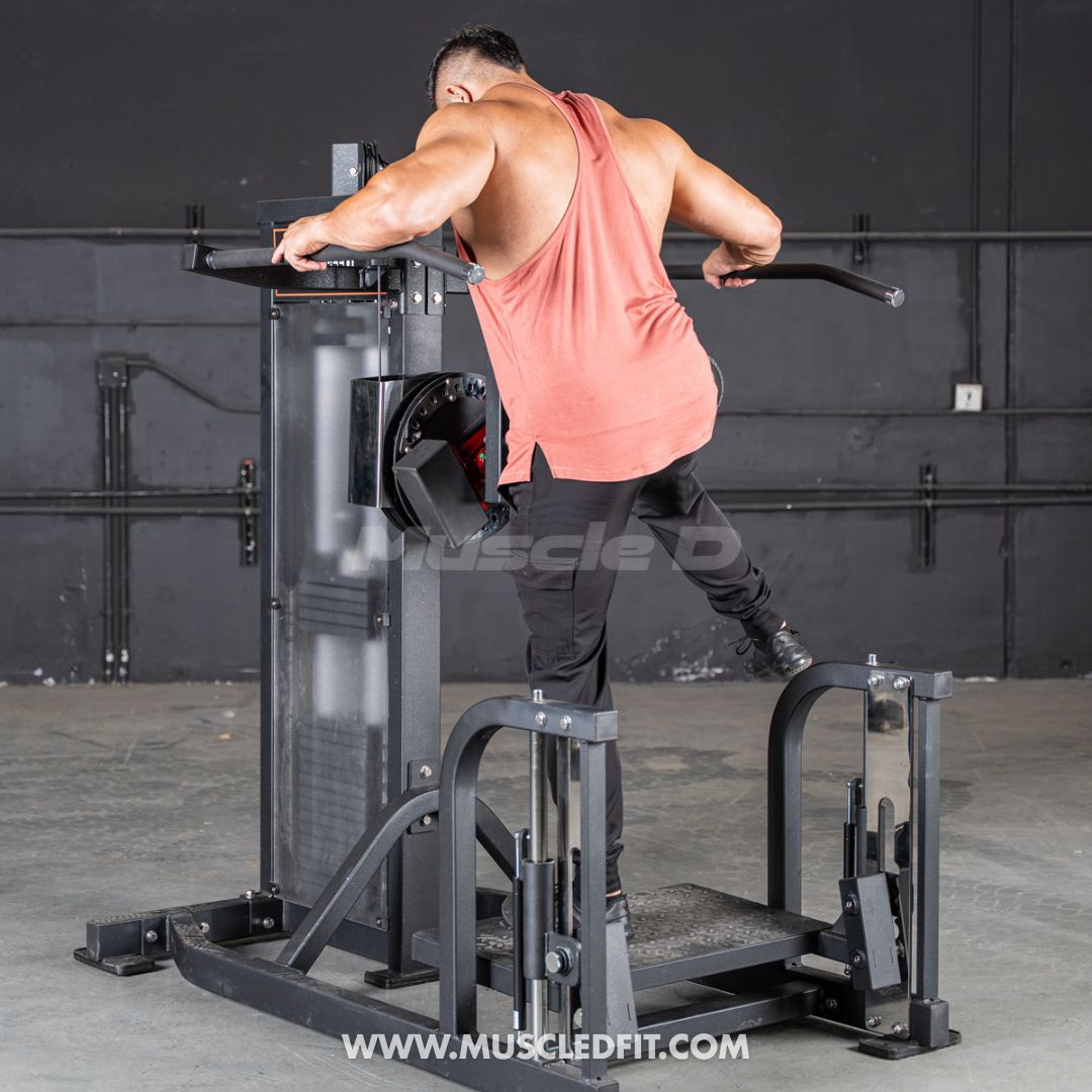 Classic V2 Selectorized Multi-Hip Machine | Hip & Glute Trainer by Muscle D