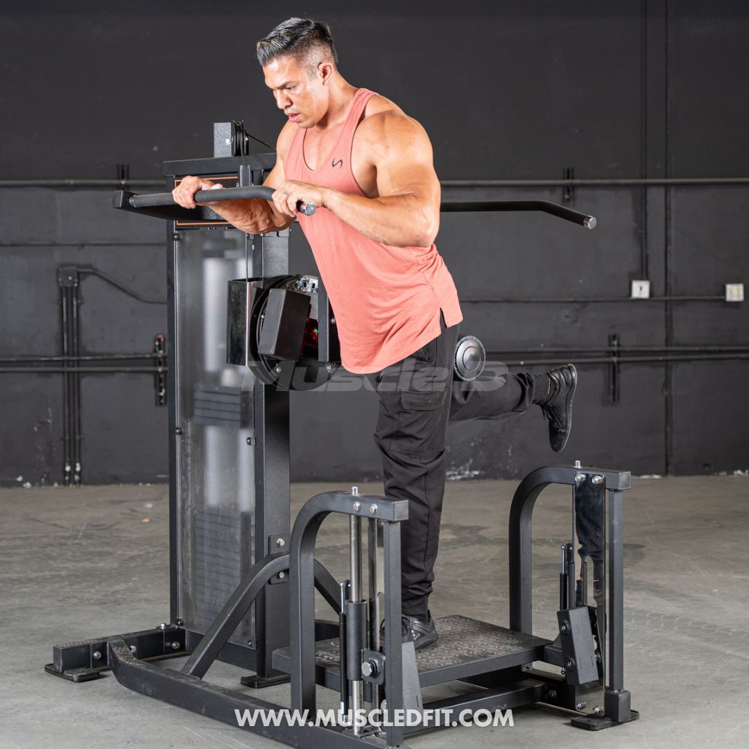 Classic V2 Selectorized Multi-Hip Machine | Hip & Glute Trainer by Muscle D
