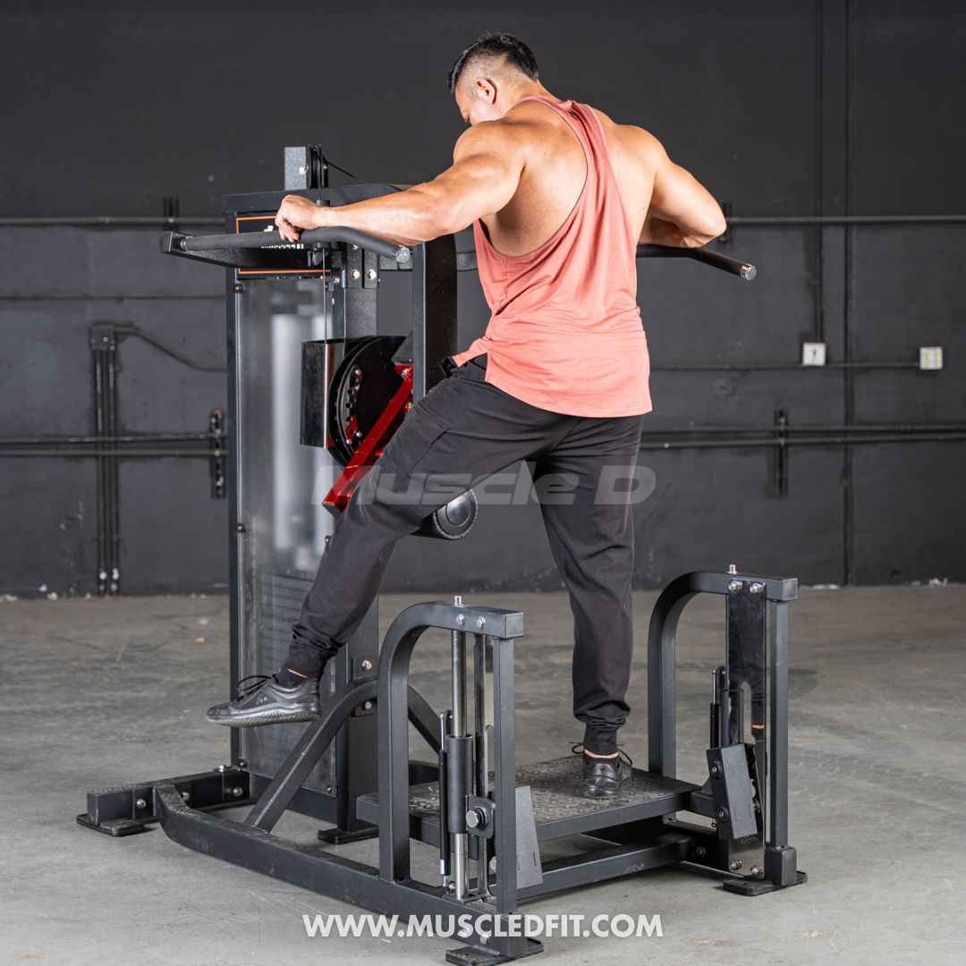 Classic V2 Selectorized Multi-Hip Machine | Hip & Glute Trainer by Muscle D