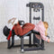 Classic V2 Selectorized Prone Leg Curl – Commercial Gym Machine