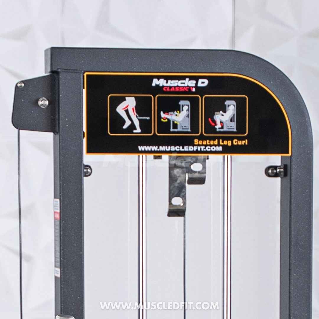 Classic V2 Selectorized Seated Leg Curl Machine – Muscle D Fitness