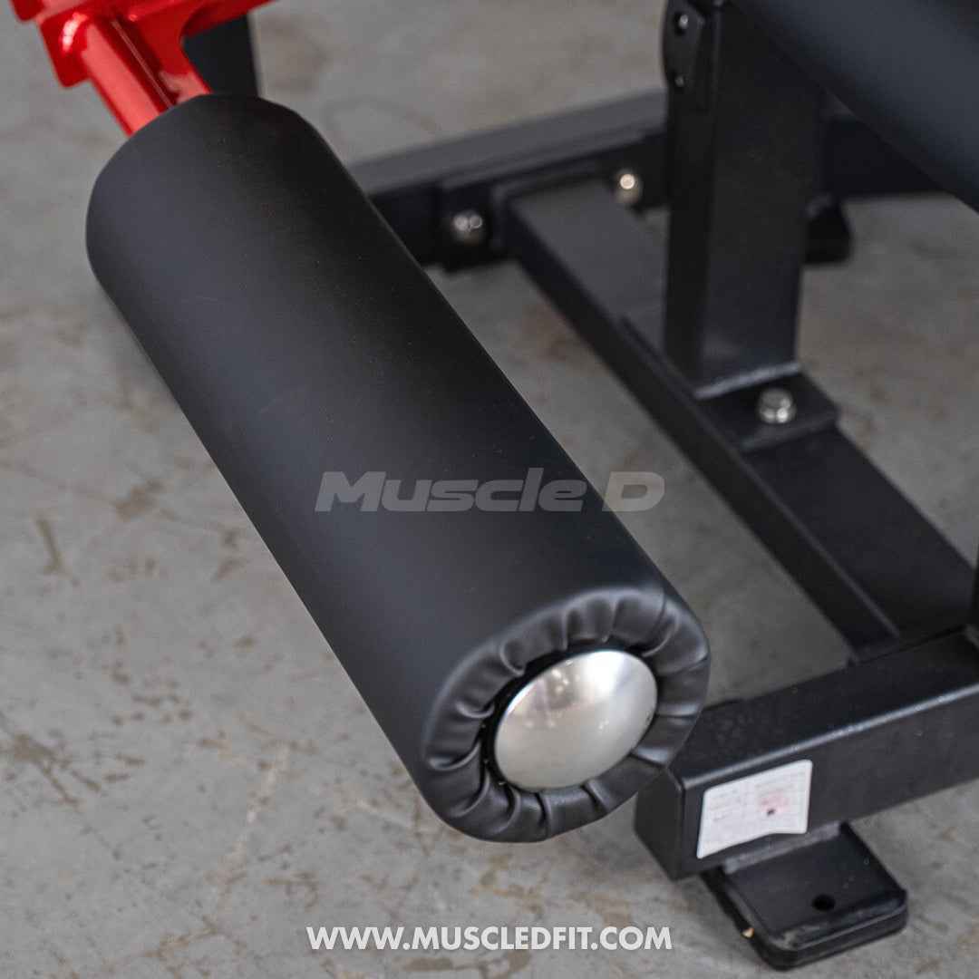 Classic V2 Selectorized Seated Leg Curl Machine – Muscle D Fitness
