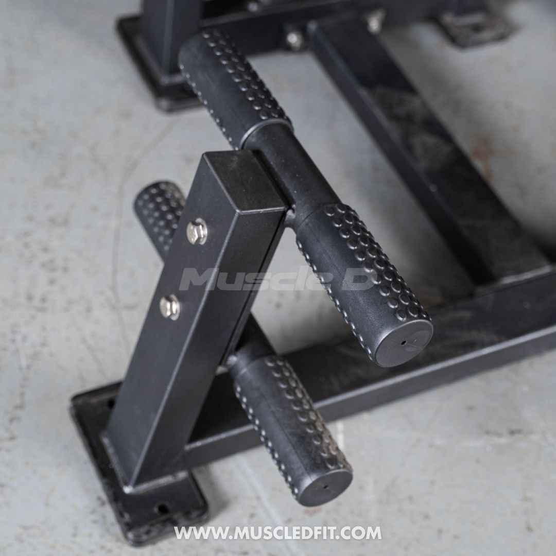Classic V2 Selectorized Back / Ab Combo by Muscle D Fitness - Dual Function Core Machine