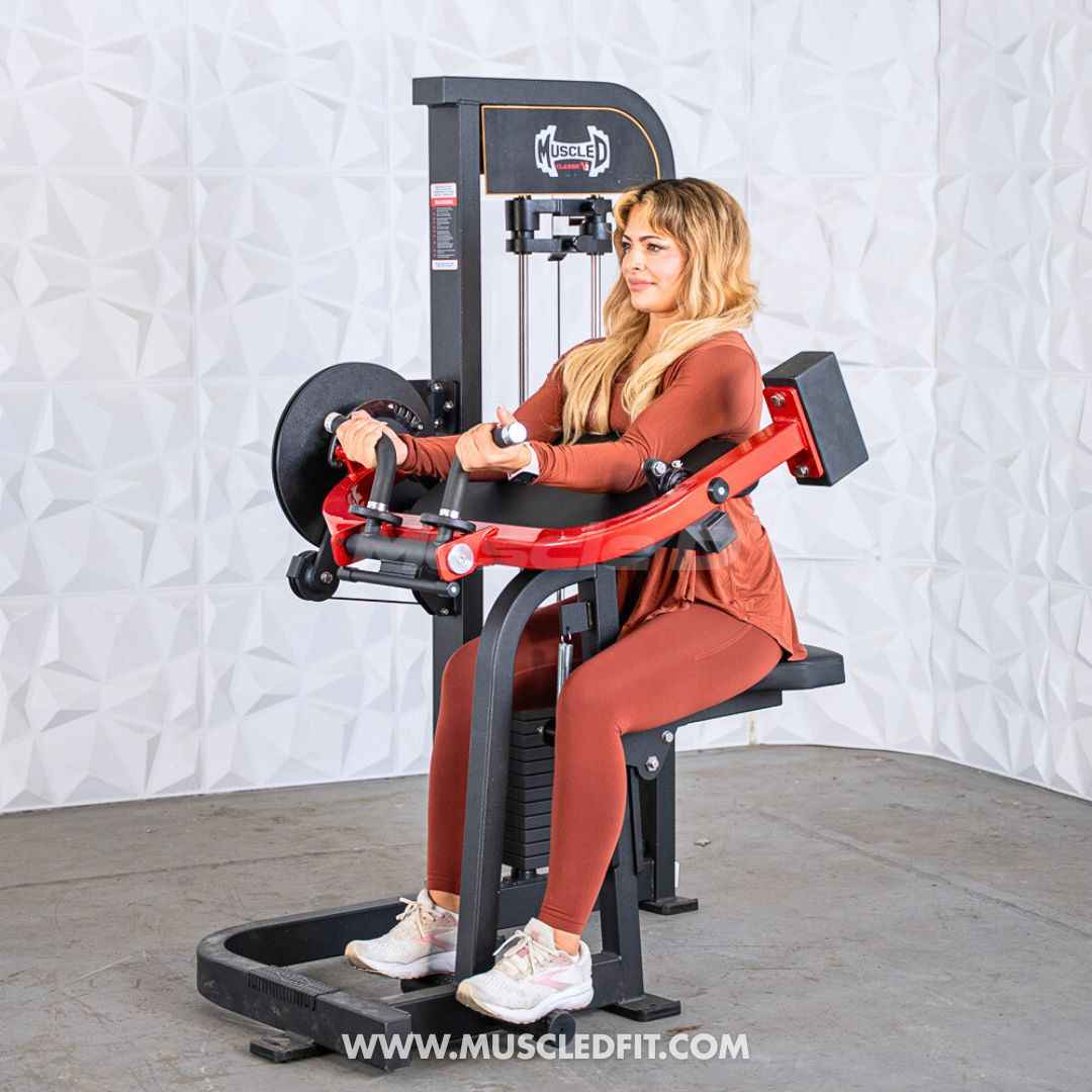 Classic V2 Selectorized Biceps/Triceps Combo – Commercial Gym Machine